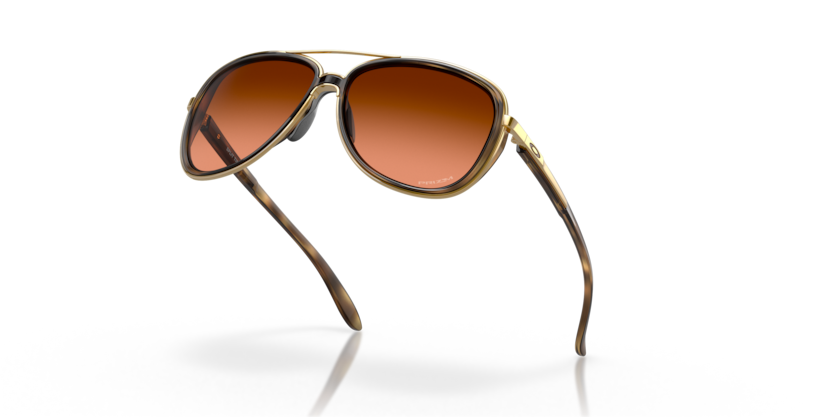 Brown Tortoise - 0OO4129 888392489494