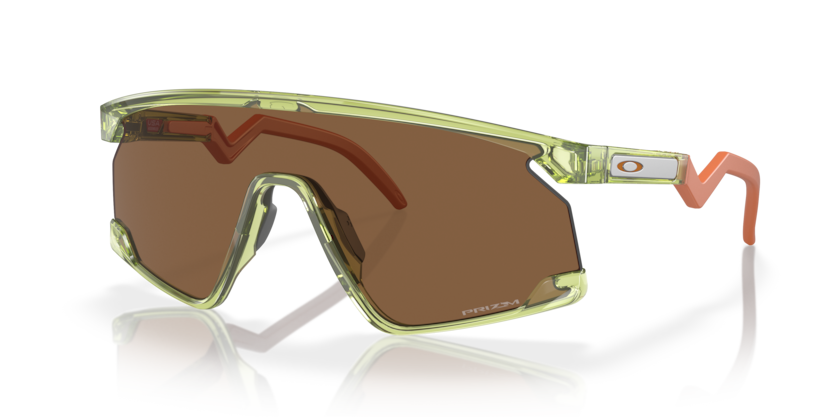 Transparent Fern - 0OO9280 888392619686