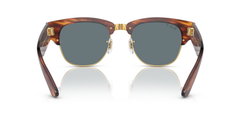 Striped Havana - 0RB0316S 8056597888813
