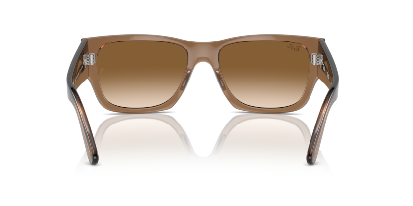 Transparent Light Brown - 0RB0947S 8056262061329