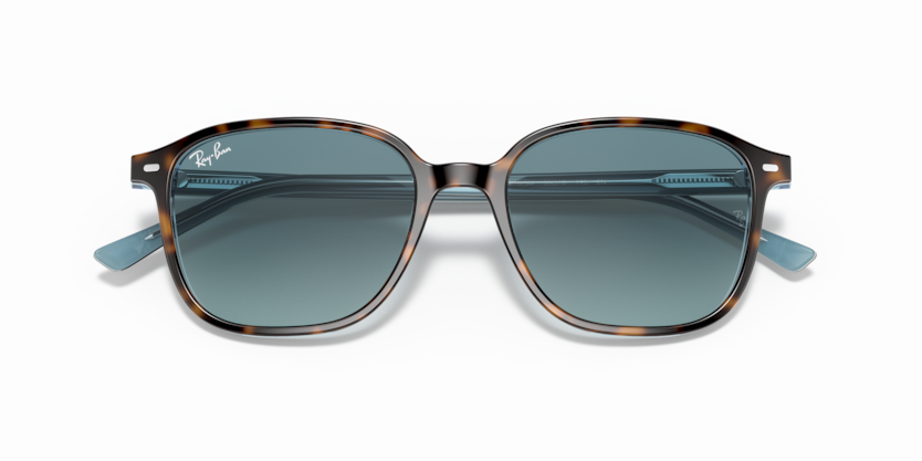 Havana On Light Blue - 0RB2193 8056597317993