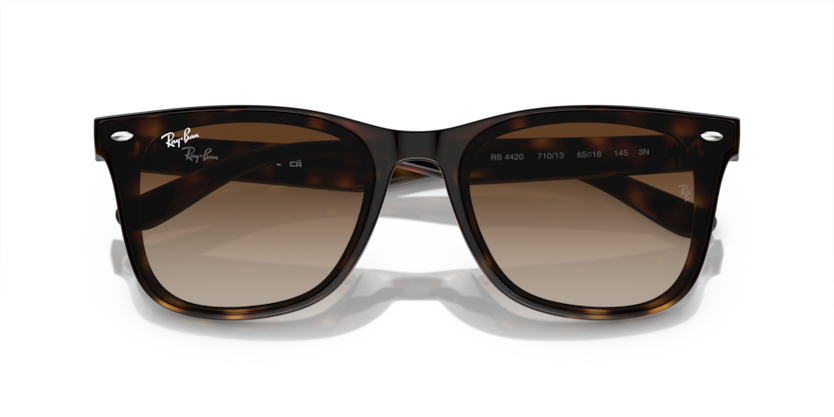 Havana - 0RB4420 8056597959353