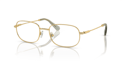  0SK1005 - Glasses -  Swarovski -  Ardor Eyewear