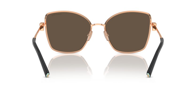 Rose Gold - 0TF3102B 8056262003695