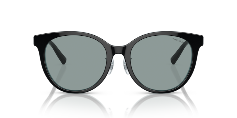 Black On Tiffany Blue - 0TF4209D 8056597851473