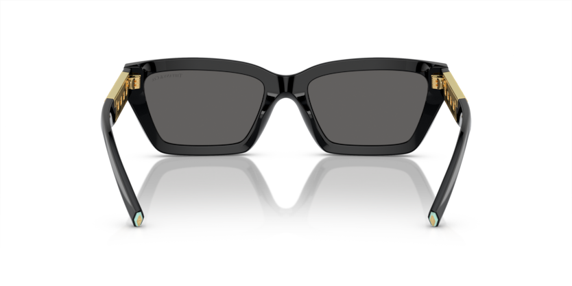 Black - 0TF4213 8056597916134