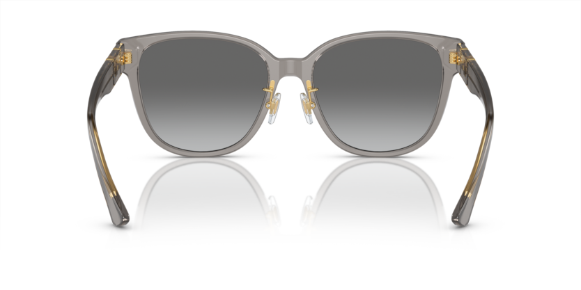 Opal Grey - 0VE4460D 8056597933865