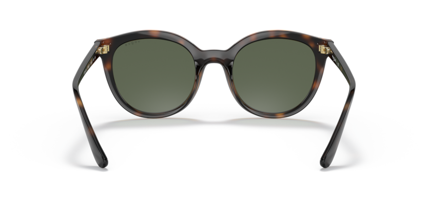 Dark Havana - 0VO5427S 8056597603980