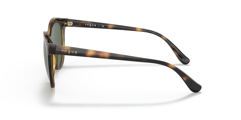 Dark Havana - 0VO5427S 8056597603980