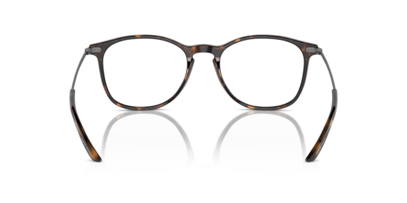 Dark Havana - 0AR7160 8053672879094