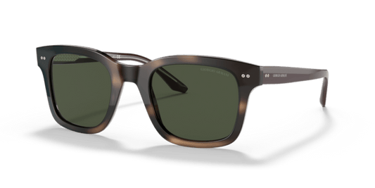 Striped Dark Brown - 0AR8138 8056597335454