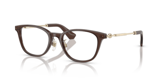 Brown - 0BE2423D 8056262284131