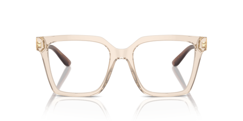 Transparent Camel - 0DG3376B 8056262074558