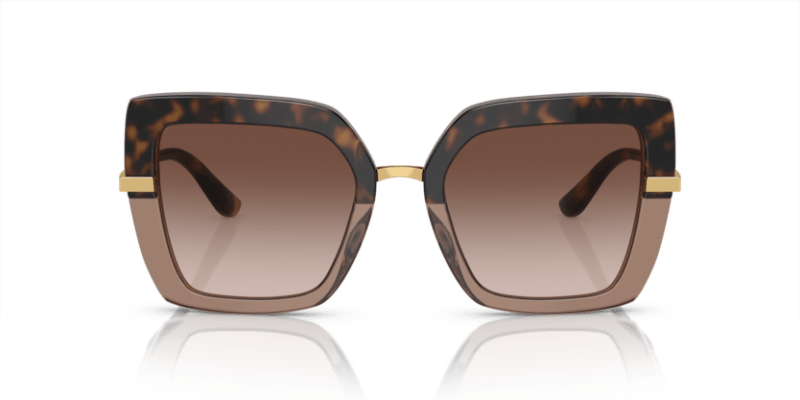 Havana On Transparent Brown - 0DG4373 8056597185301