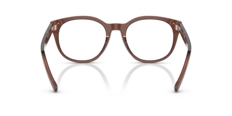 Shiny Transparent Brown - 0EA3207 8056597765398