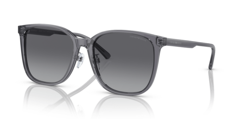 Shiny Transparent Grey - 0EA4206D 8056597835480