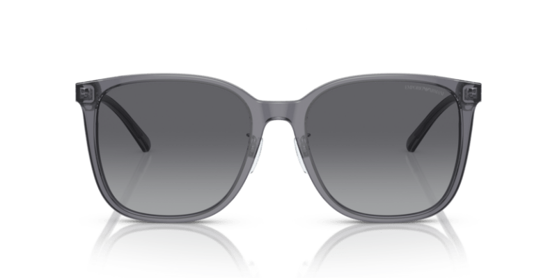 Shiny Transparent Grey - 0EA4206D 8056597835480