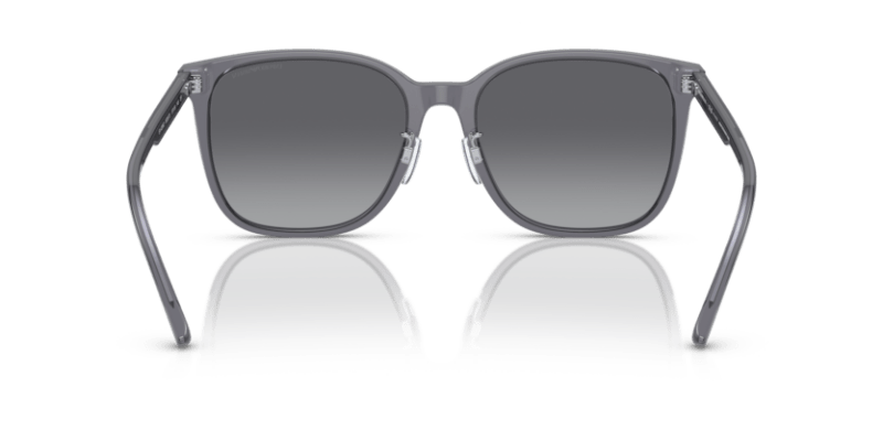 Shiny Transparent Grey - 0EA4206D 8056597835480