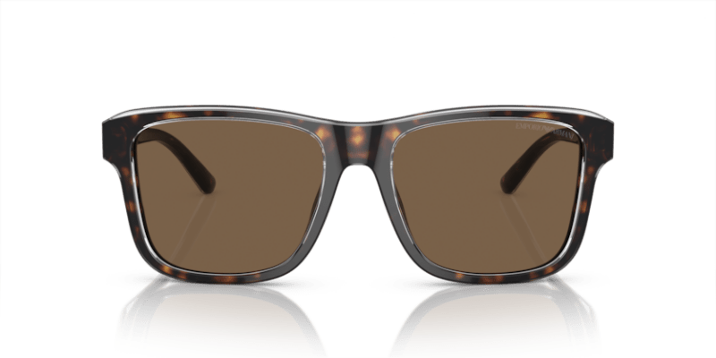 Shiny Havana/Top Crystal - 0EA4208 8056597948173