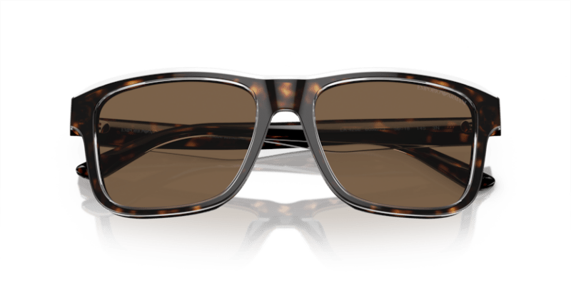 Shiny Havana/Top Crystal - 0EA4208 8056597948173