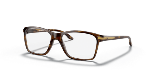 Polished Brown Tortoise - 0OY8010 888392565457