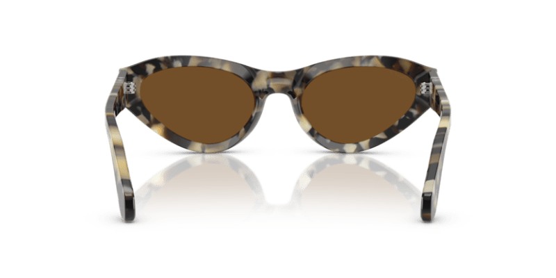 Brown Tortoise - 0PO0052S 8056262257227 Persol Sunglasses Woman Butterfly
