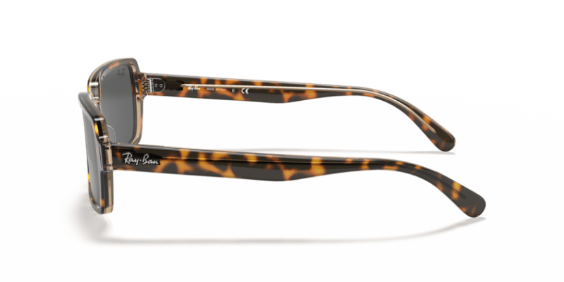 Havana On Transparent Brown - 0RB2189 8056597362412