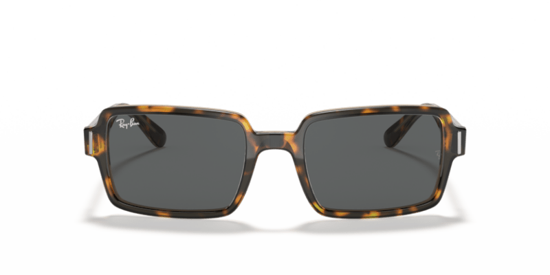 Havana On Transparent Brown - 0RB2189 8056597362412