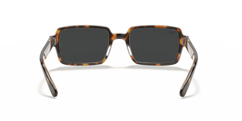 Havana On Transparent Brown - 0RB2189 8056597362412