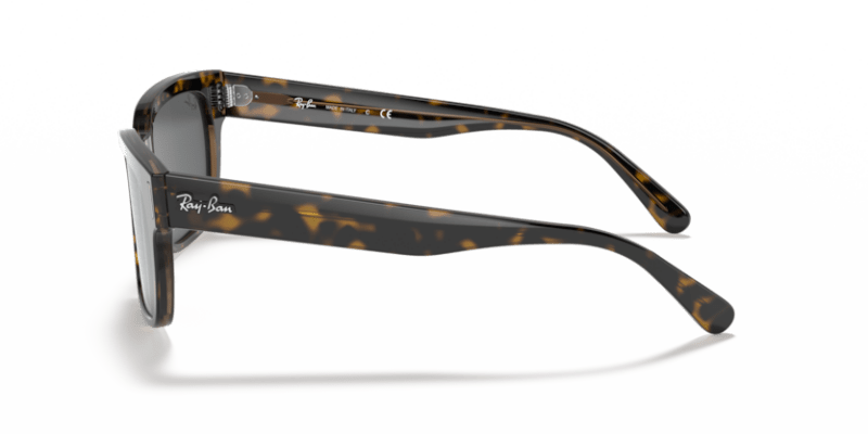 Havana On Transparent Brown - 0RB2190 8056597362542