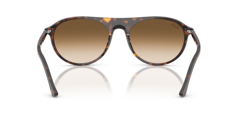 Havana - 0RB2215 8056262412947