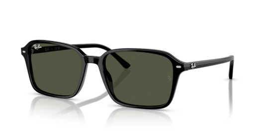 Black - 0RB2231 8056262245842