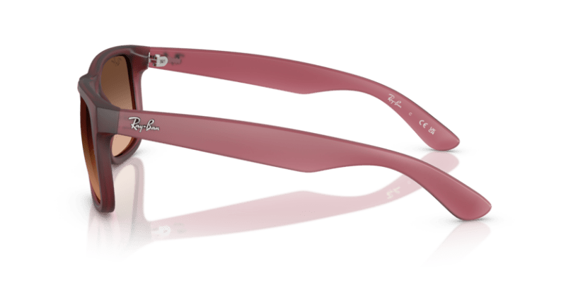 Rubber Violet - 0RB4165 8056262475195