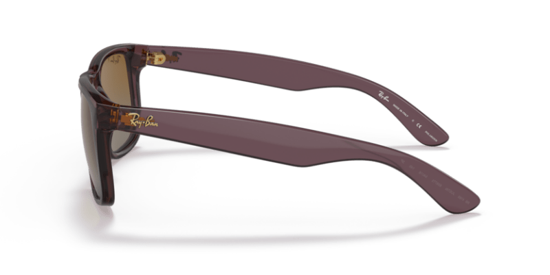 Transparent Dark Brown - 0RB4165 8056597616577