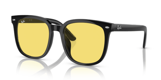 Black - 0RB4401D 8056597846066