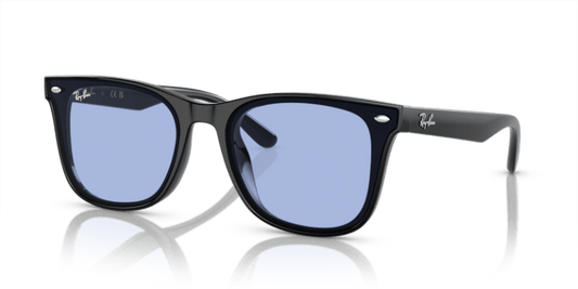 Black - 0RB4420 8056597959322