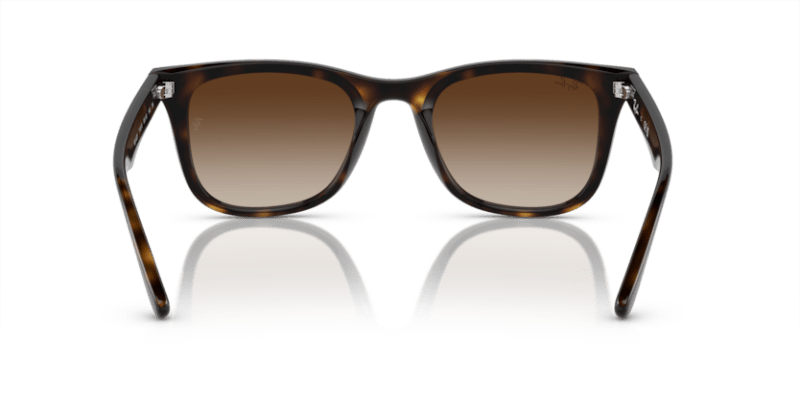 Havana - 0RB4420 8056597959353