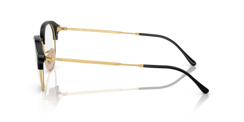 Black On Gold - 0RB4429 8056597946025