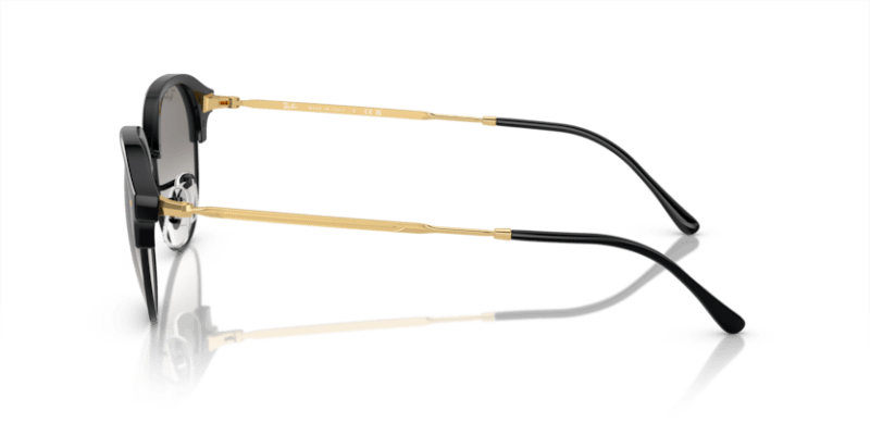 Black On Gold - 0RB4429 8056597939041