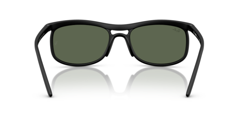 Sand Black - 0RB4452 8056262481639