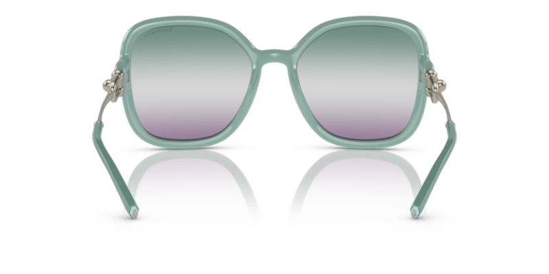 Tiffany 0TF4202U Canton 8056597886253