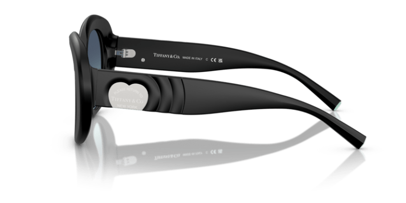 Matte Black - 0TF4228 8056262185209