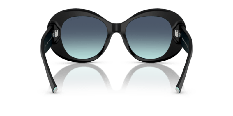 Matte Black - 0TF4228 8056262185209