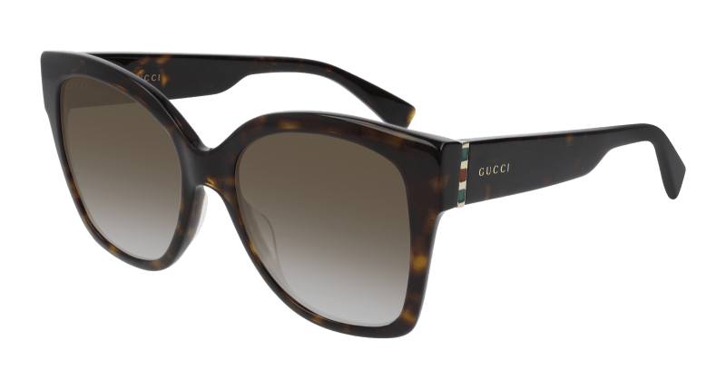 Havana Sunglasses Gucci 889652203638
