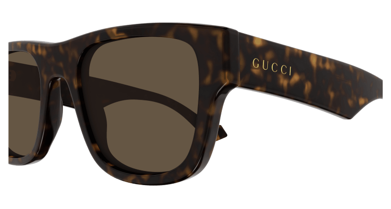 Havana Sunglasses Gucci 889652440330