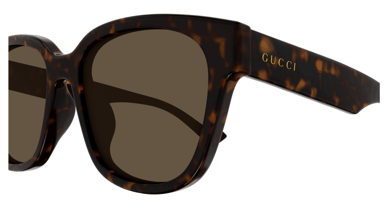 Havana Sunglasses Gucci 889652441351