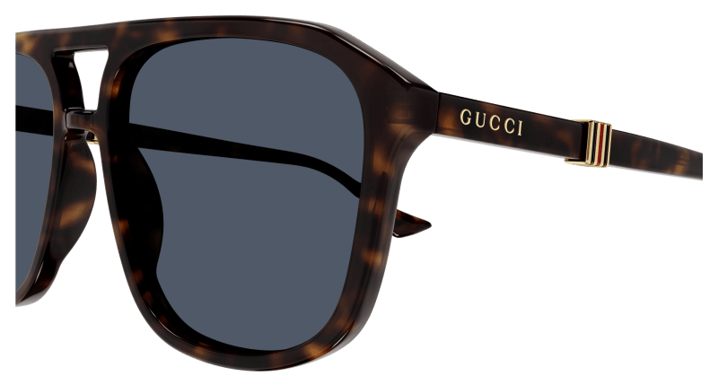 Havana Sunglasses Gucci 889652470764