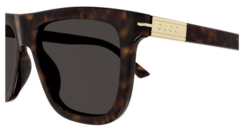 Havana Sunglasses Gucci 889652469959