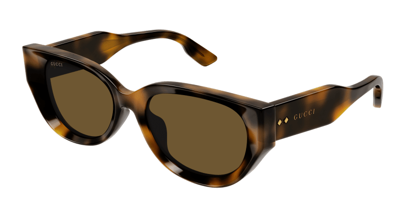Havana Sunglasses Gucci 889652473451