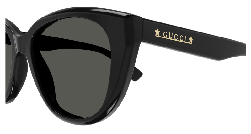 Black Sunglasses Gucci 889652467900